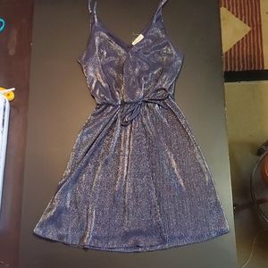Sparkly Blue Dress